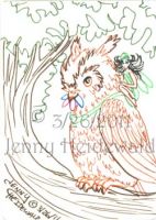 Owl and Butterfly